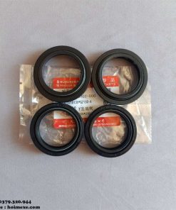 phot bui phuoc truoc suzuki gz150a