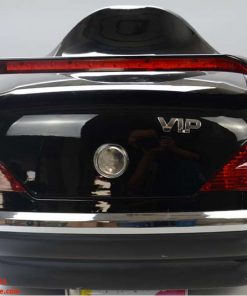 thung sau xe may top vip