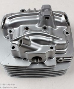 dau bo suzuki en150
