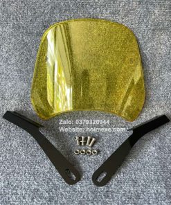 kinh chan gio yamaha pg1