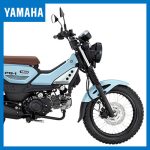Yamaha pg-1