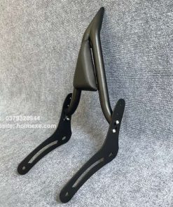 tua lung honda rebel 300 500 sissy bar